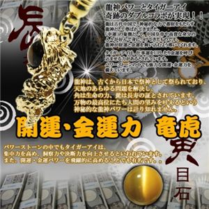 �J�^!!�^�C�K�[�A�C���S�[���f�����_�X�g���b�v 
