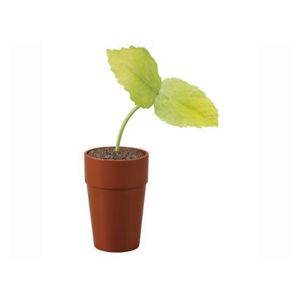 ペコッぱ　2個セット　（茶）