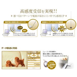 コレガ ワンセグチューナー これテレ CG-1SGT