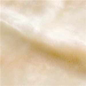 電気あったか敷きパッド（ベッド用）の画像