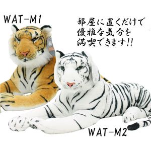 A^CK[ʂ ij uE摜Q