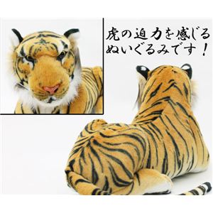 A^CK[ʂ ij uE摜R