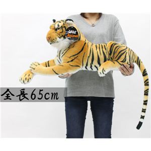A^CK[ʂ ij uE摜S