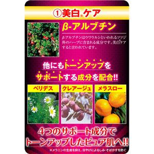 pzCgsNVB Z^[ 50g摜Q