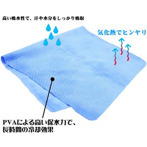 ЂN[^I 30x80cm iAj u[ y2Zbgz摜Q