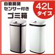 ZT[tS~ 42L^Cv SS-42LS02 zCg摜ŏP