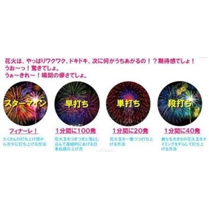 SEGATOYS（セガトイズ） 家（うち）あげ花火