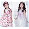 ���q���h���XDG-BB13086P