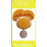 トロピカルボディ　プルルンフルル