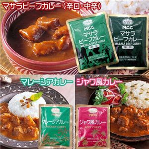 世界のカレー　10食セット