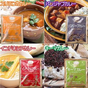 世界のカレー　10食セット