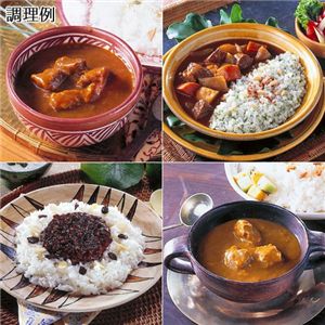 世界のカレー 10食セット