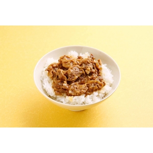 小どんぶりの素 80g  牛丼10食セット