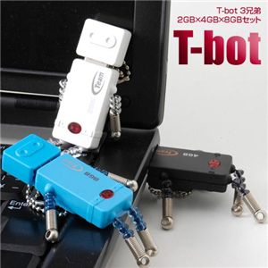 T-bot 3兄弟 2GB×4GB×8GBセット