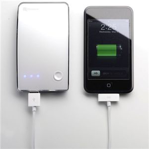 ��e�ʃT�u�o�b�e���[ C-2010 �z���C�g