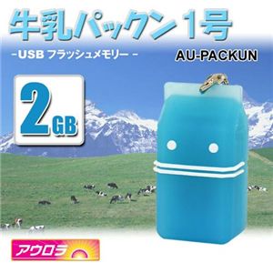 pbN USB 2GB