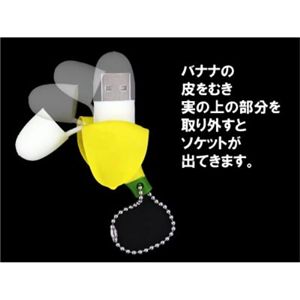 oii USB 2GB