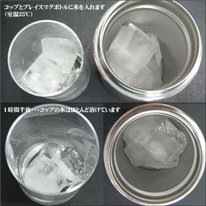 ステンレス魔法瓶構造 ブレイス 携帯マグボトル　0.35L　【2本セット】