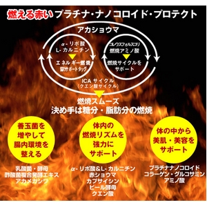 テレビ通販で２時間で１万個売れた驚異の商品！プラチナビード3箱セット