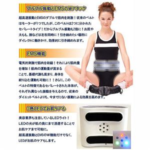 DX PERFECT BELT(fbNXp[tFNgxg)