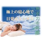 �Ɍ��I20cm���ᔽ���}�b�g���X�@�V���O��