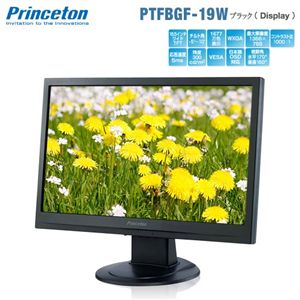 Princeton HDCP対応18.5インチ液晶ディスプレイ PTFBGF-19W【ノングレア】