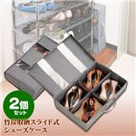 竹炭収納ケース スライド式シューズケース 2個セット