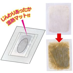 イキイキ樹液シート温熱マット付 12枚入×2箱