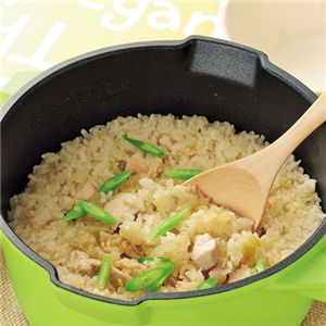 �y�y�y���g��IH�Ή��[�^�����p�� 24cm �O���[��