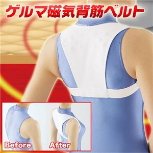 ゲルマ磁気背筋ベルト Sサイズ