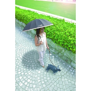 晴雨兼用日傘　ｓｏｙｏ風　ブラック