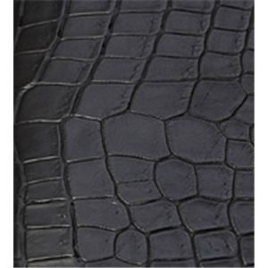 �y�N���R�_�C���v�zQuoVadis Exective�Ή��J�o�[�F�}�b�g�i���j