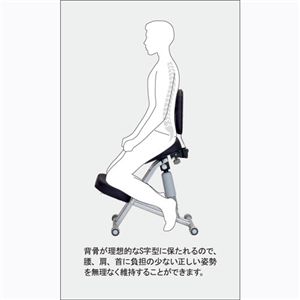 S字チェア RBC-002-BK ブラック