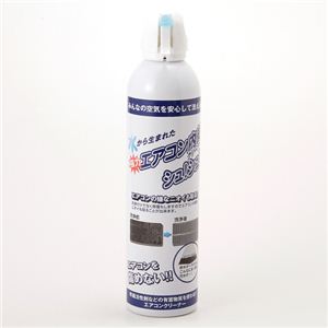 水から生まれたエアコン内部クリーナーシュ！シュ！420ml　【2本セット】 