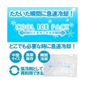 �u�ԗ�p�p�b�N �N�[���A�C�X�p�b�N 100���摜����1