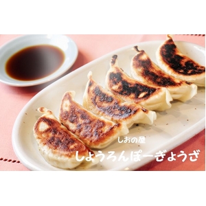 しおの屋しょうろんぽーぎょうざ 60個