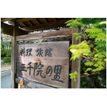 ���ԡ��縶���鱡��Τ���ָ��Ԥα�ס���դ�����