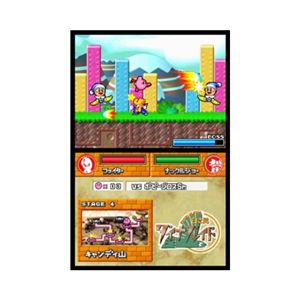 �j���e���h�[DS�u���̃J�[�r�B�E���g���X�[�p�[�f���b�N�X�v