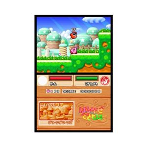 �j���e���h�[DS�u���̃J�[�r�B�E���g���X�[�p�[�f���b�N�X�v