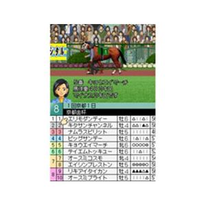 �_�[�r�[�X�^���I��DS