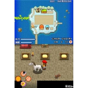 牧場物語 キラキラ太陽となかまたち