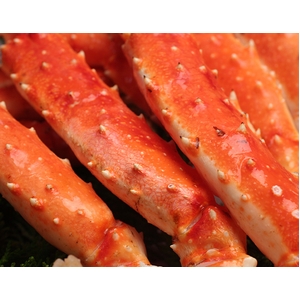 �󂠂�{�C���^���o�K�j�������Ղ�2kg����
