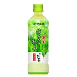 伊藤園 おーいお茶摘みたて緑茶 500ml 48本セット