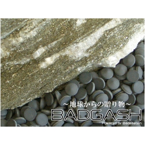 ペタッと貼るだけ 「BADGASH」