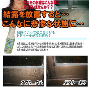 ���I�z���X�v���[ �g�h�}�[�� 12�{�g 