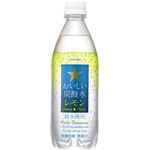 サッポロ　おいしい炭酸水レモン[純水使用]　500ml　48本セット