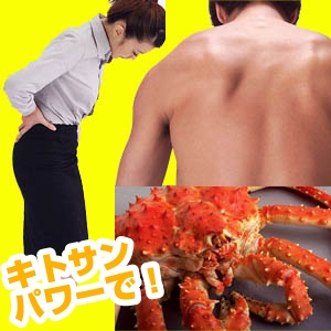 キトサン・ローション 「キットクルサン」