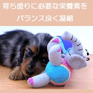 アーテミス・フレッシュミックス スモールブリードパピー13.5kg 離乳期～12ヶ月(小型犬用)