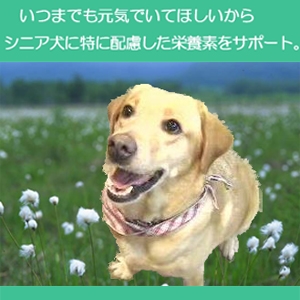 アーテミス・フレッシュミックス ミディアムラージブリード シニア1kg 6才以上の中・大型犬用