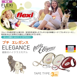 �t���L�V���[�h�@�v�`�G���K���X�@�S�[���h